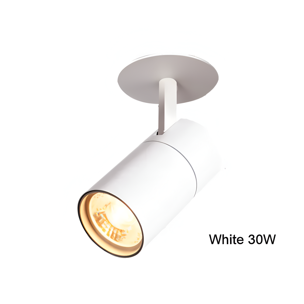 CylindraBright Spotlights - Schwarze und Weiße LED Deckeneinbauleuchten
