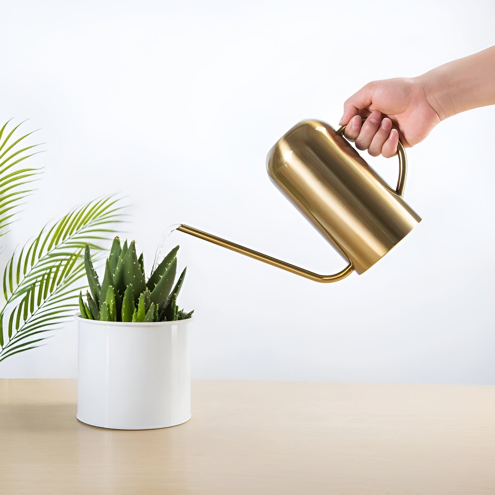 Ausgießer aus Edelstahl - 1,5L lange Gießkanne für Pflanzen und Blumen