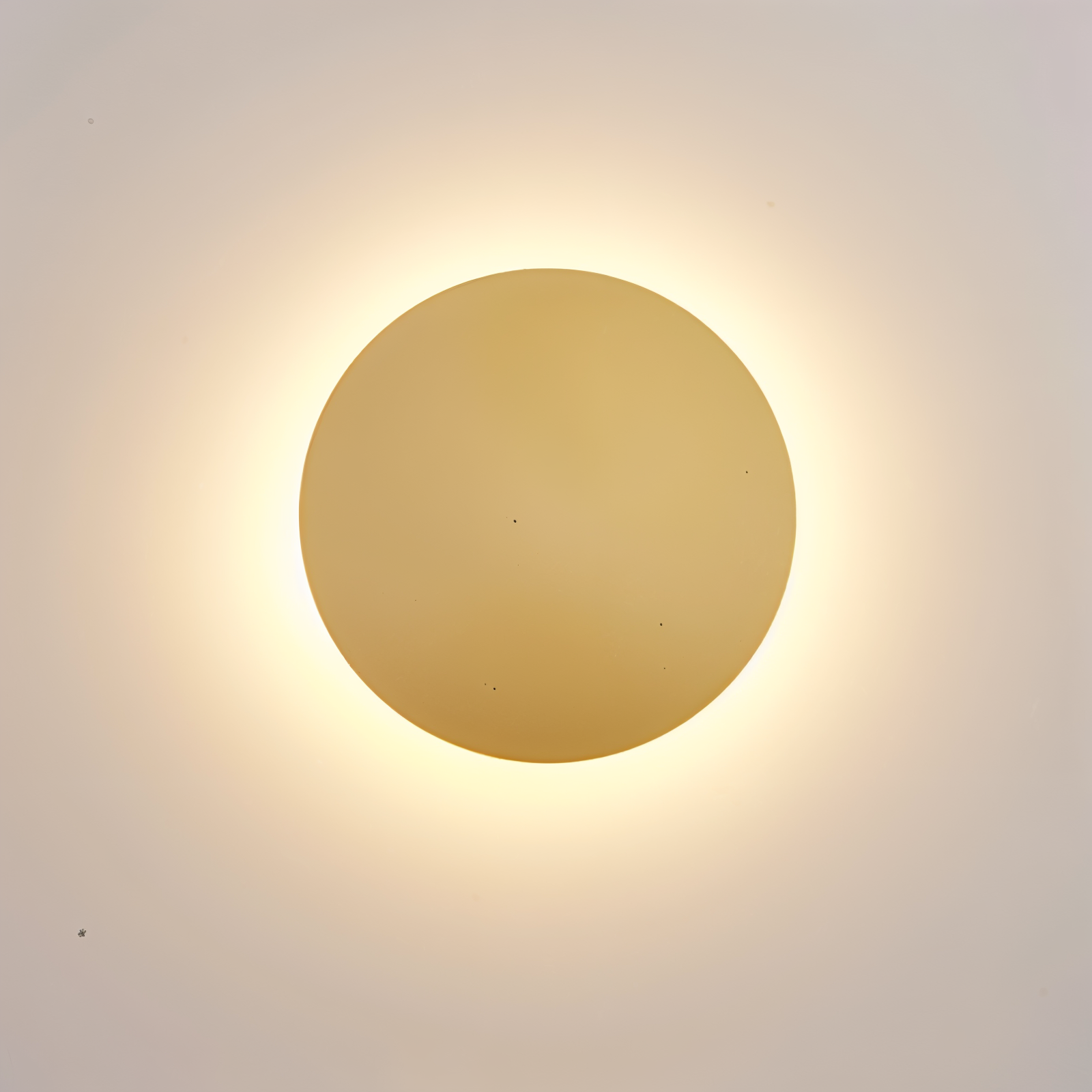 FullHalo Wandleuchte - Runde Schwarz/Weiß/Gold Metall LED Wandlampe - Modernes Wandlampen Design