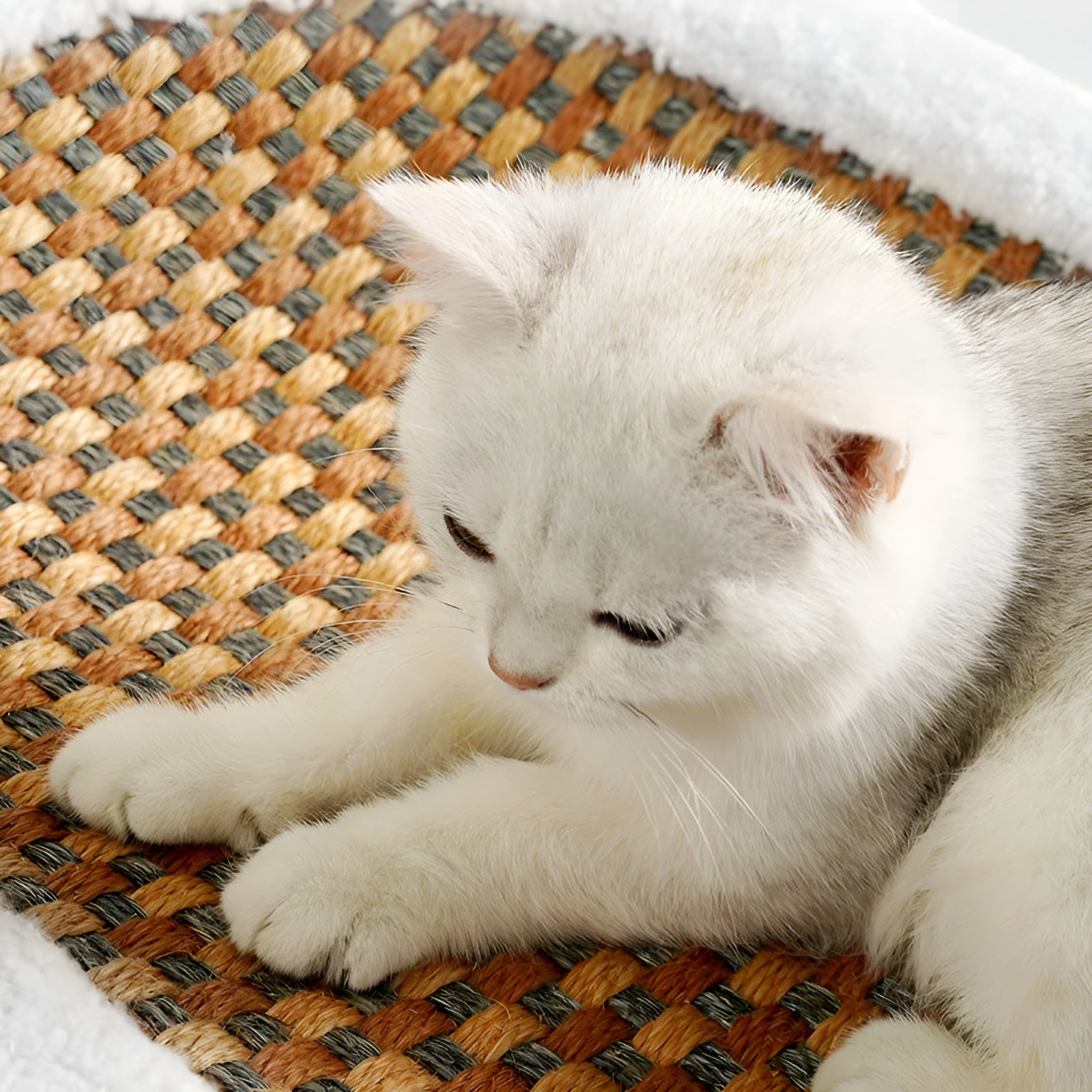 ScratchBed - Luxuriöses Plüsch-Katzenbett mit kratzbarer Oberfläche