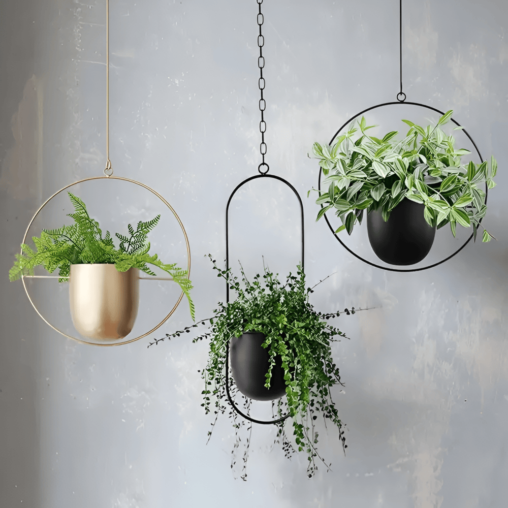 Stilvoller Minimalistischer Hängeblumentopf für moderne Wohnkultur