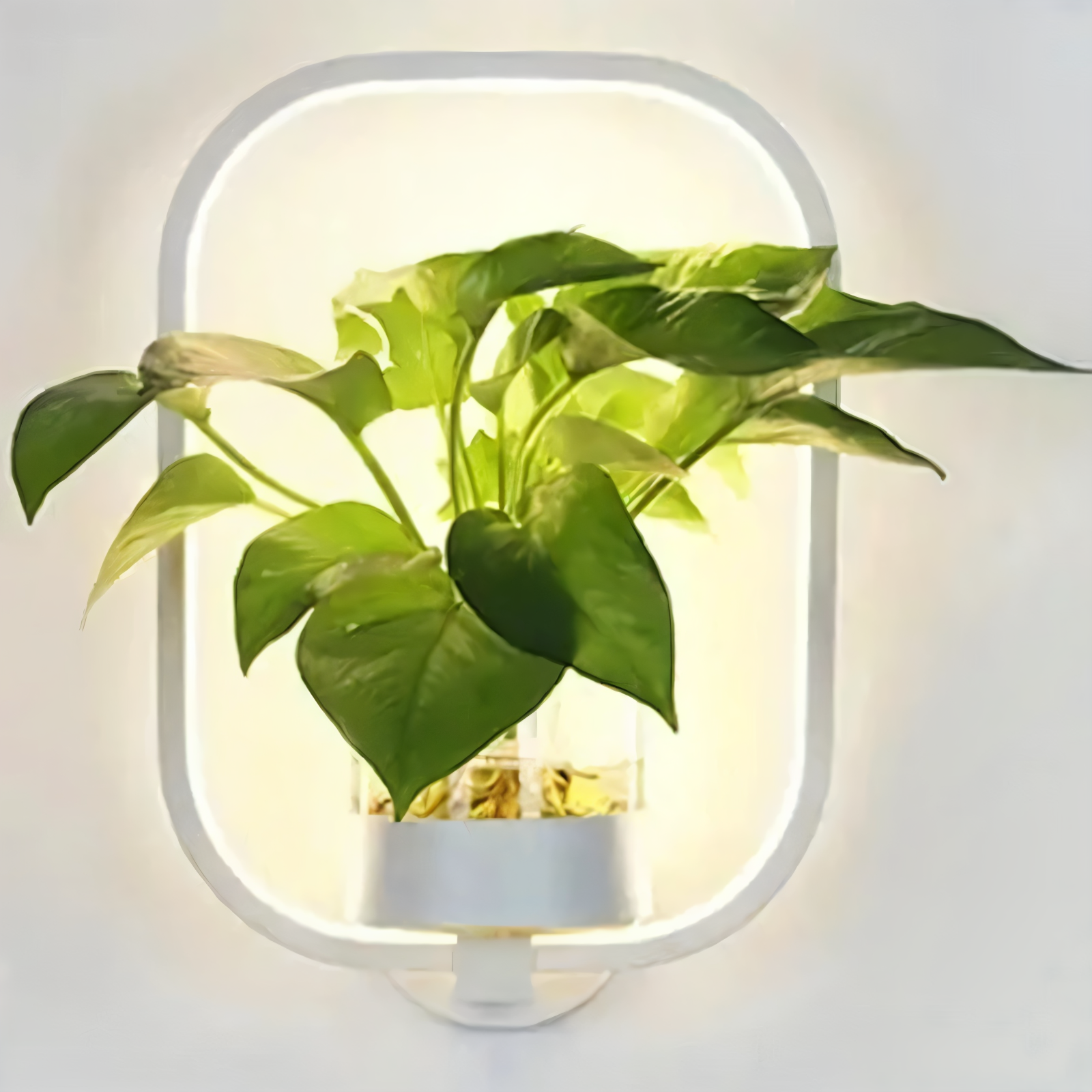 VerdantLume Wandleuchte - Minimalistische Wandleuchte mit Integrierter Pflanzenhalterung - Moderne Wandleuchten Geführt