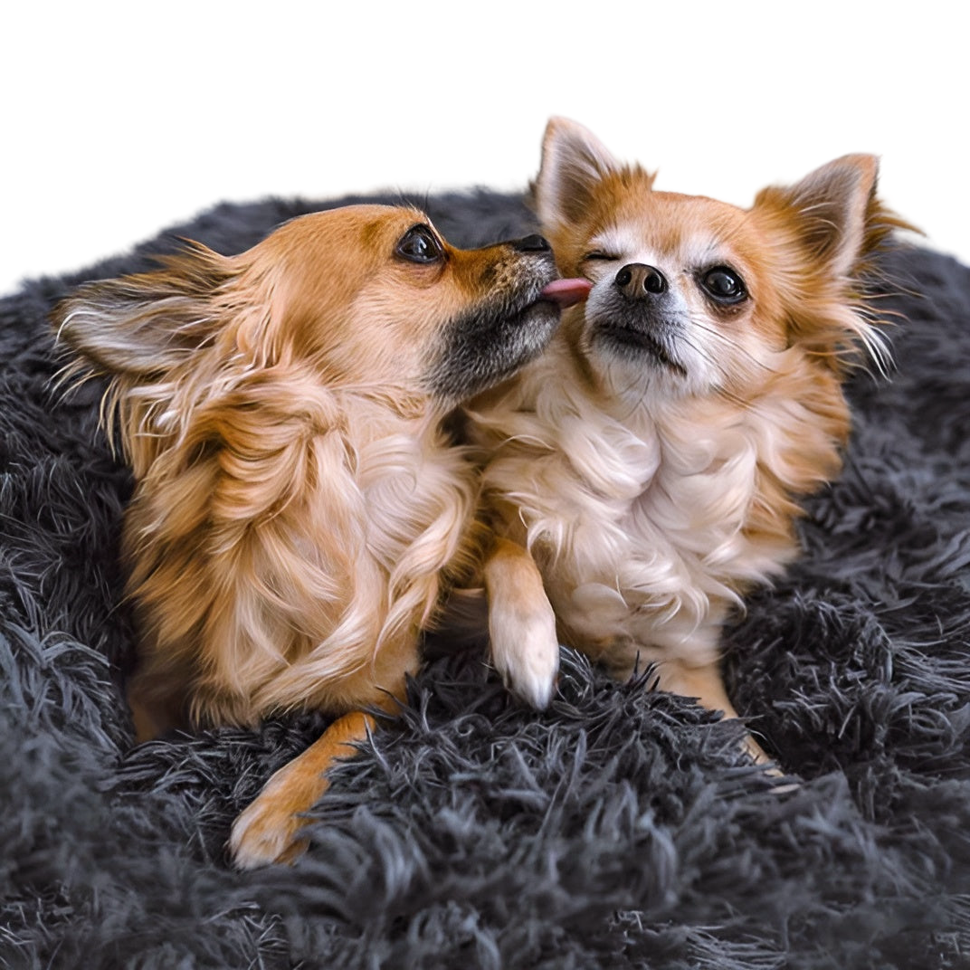 Paws Bed - Ultra Weiches und Bequemes Donut Cuddler Hundebett für Ihren Pelzigen Freund