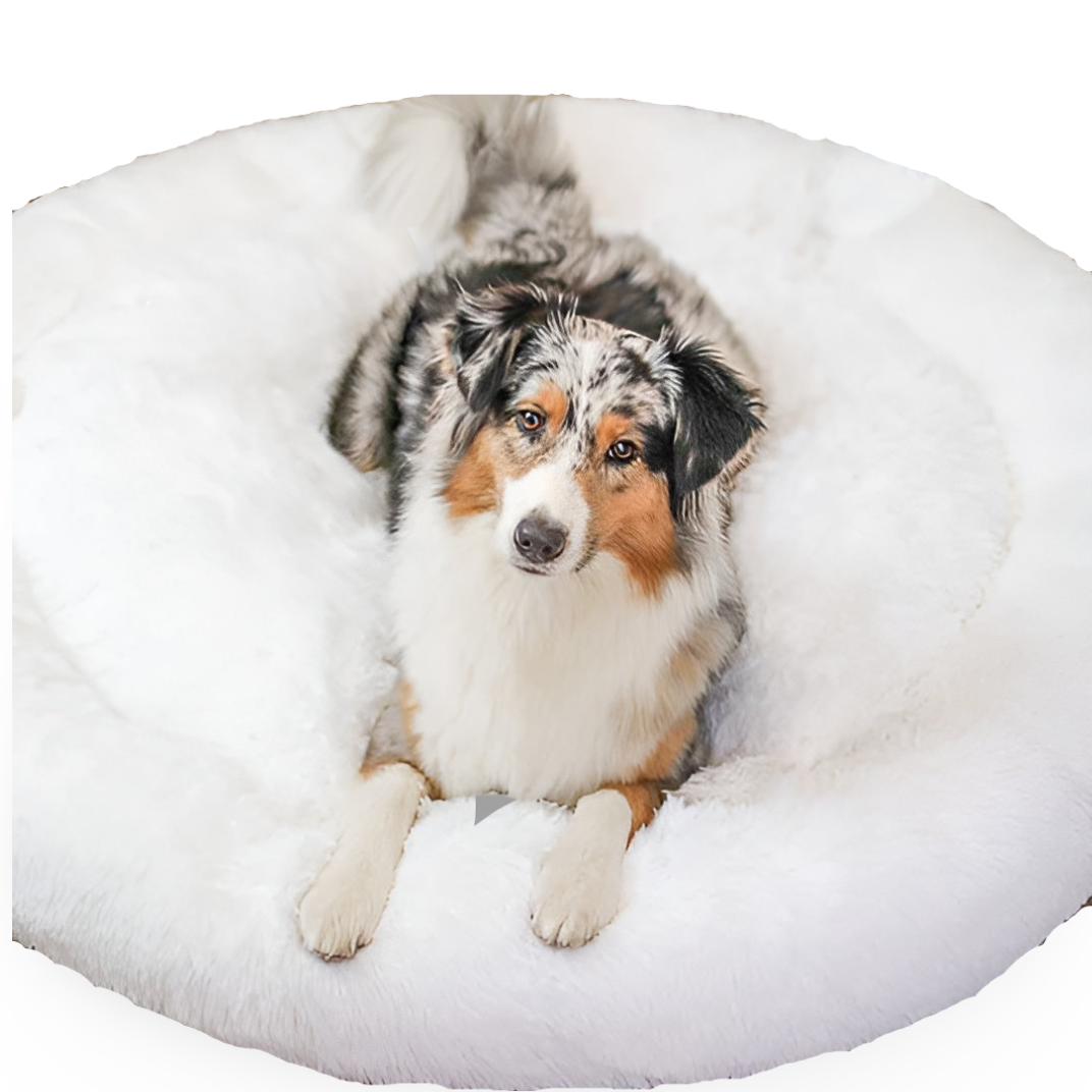 Paws Bed - Ultra Weiches und Bequemes Donut Cuddler Hundebett für Ihren Pelzigen Freund