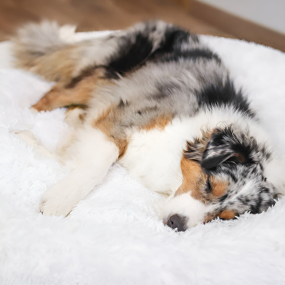 Paws Bed - Ultra Weiches und Bequemes Donut Cuddler Hundebett für Ihren Pelzigen Freund