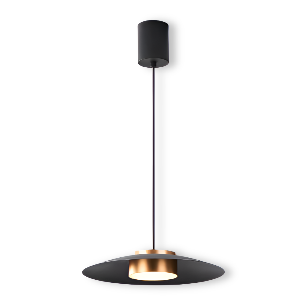 PlateLux Hängelampe - Nordische Pendelleuchte - Schwarzes Industrielicht Pendant