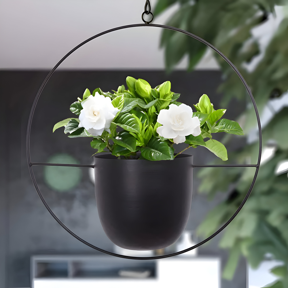 Stilvoller Minimalistischer Hängeblumentopf für moderne Wohnkultur