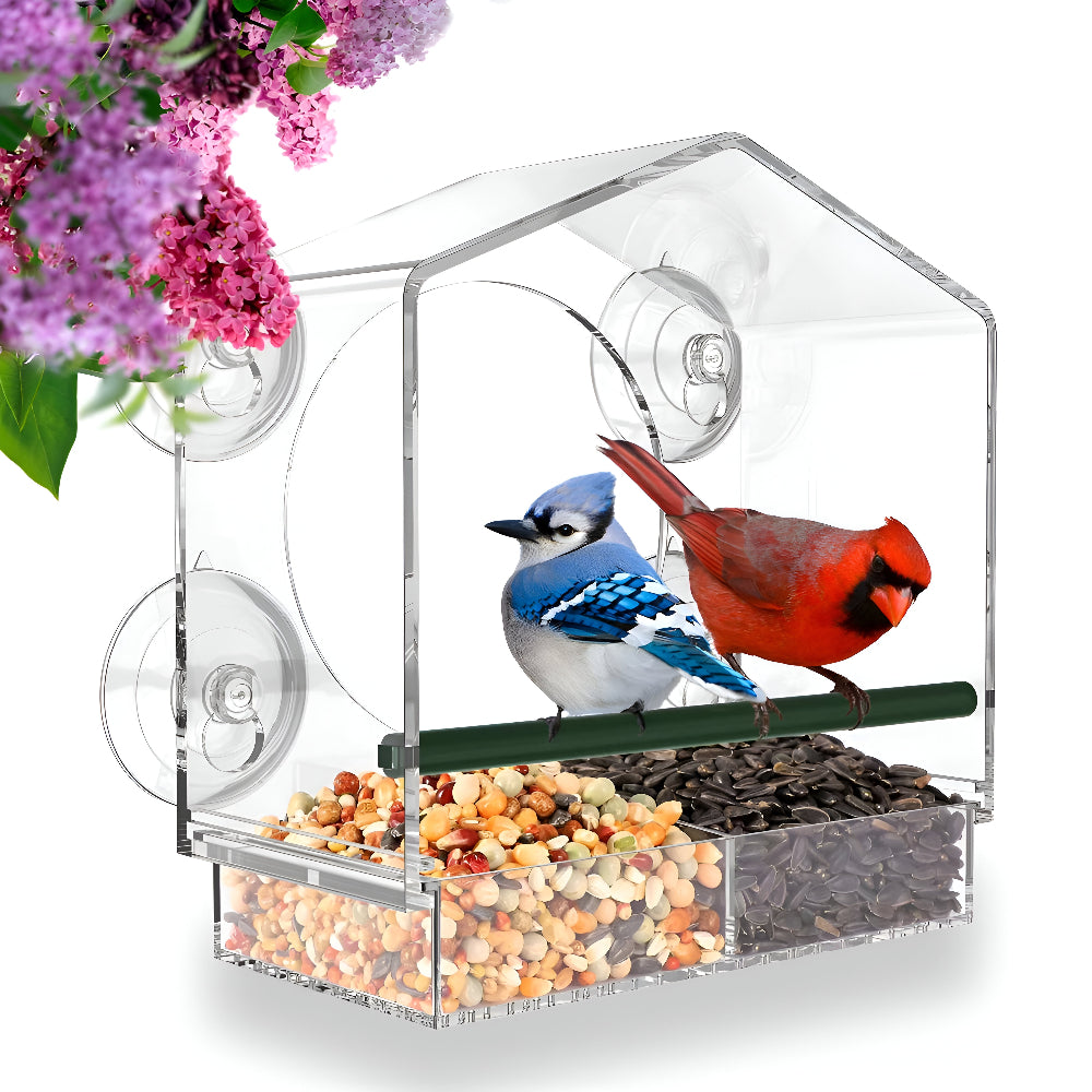 TrayHaven - Transparentes Fenster-Vogelfutterhaus mit Saugnapf-Stabilität