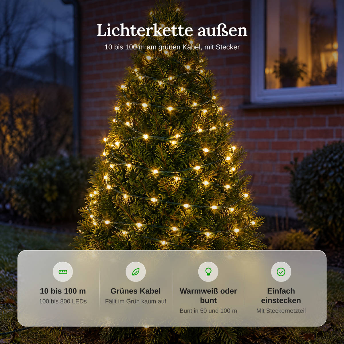 Vorteile der Lichterkette außen: 10 bis 100 m, grünes Kabel, warmweiß oder bunt, mit Steckernetzteil