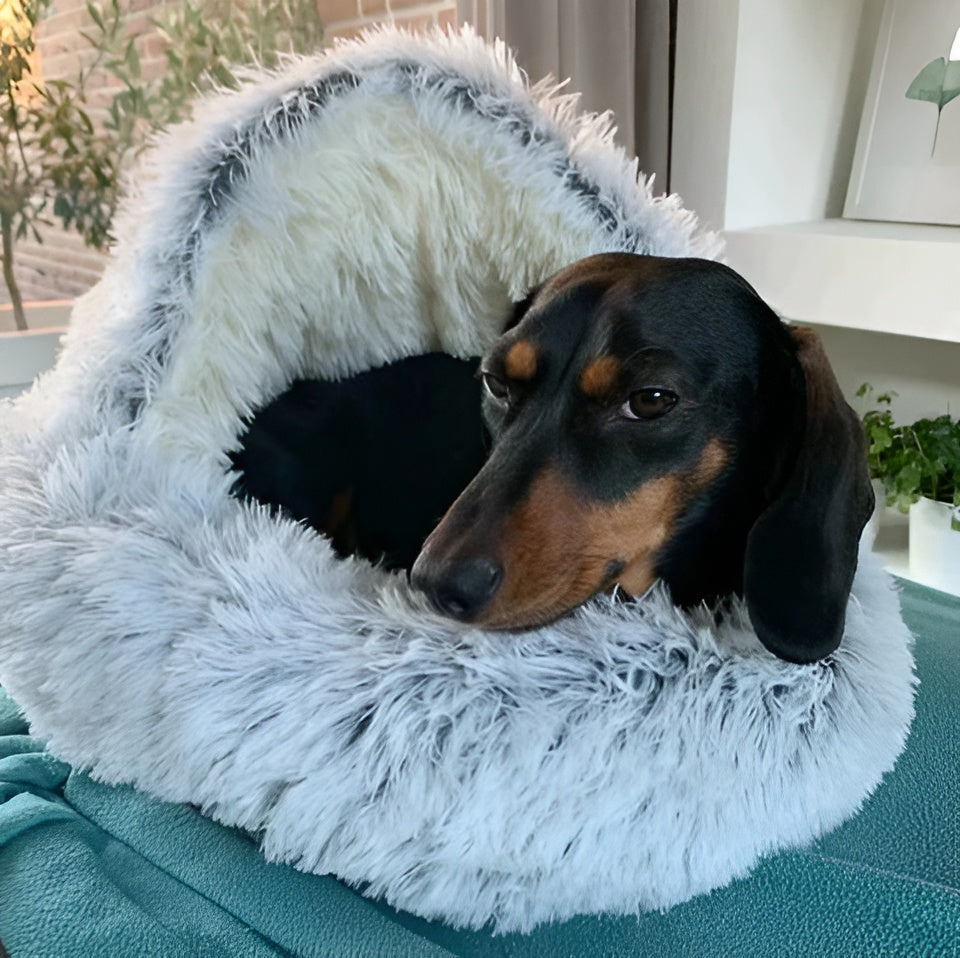 WarmPaws - 2-in-1 Warmes und Kuscheliges Rundbett für Kleine Hunde und Katzen