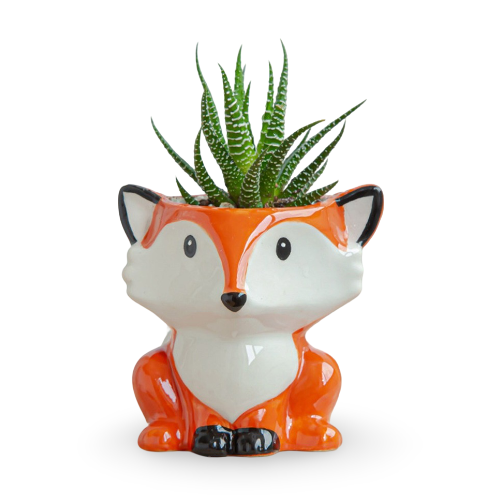 Tierische Sukkulenten Pflanzgefäße – Kreative Töpfe für Ihre Pflanzen