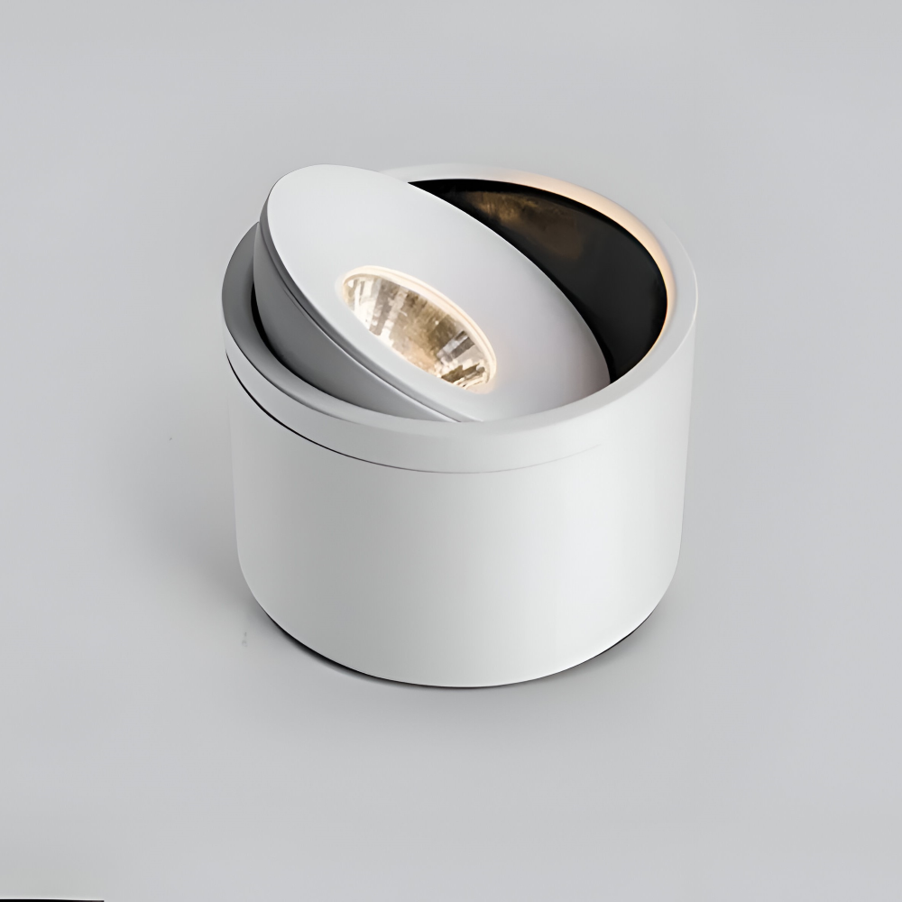 CylinFlex Spotlights - Minimalistische 360° Drehbare LED Downlights