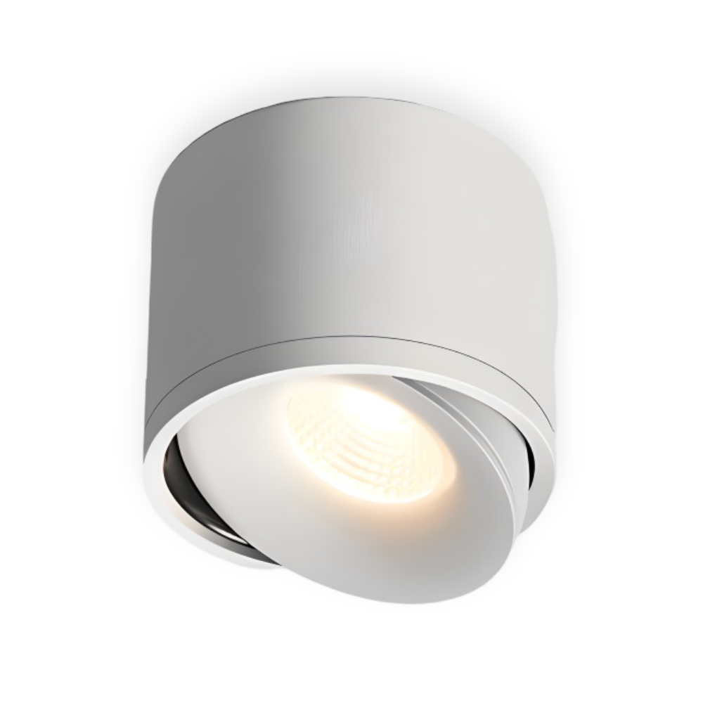 CylinFlex Spotlights - Minimalistische 360° Drehbare LED Downlights
