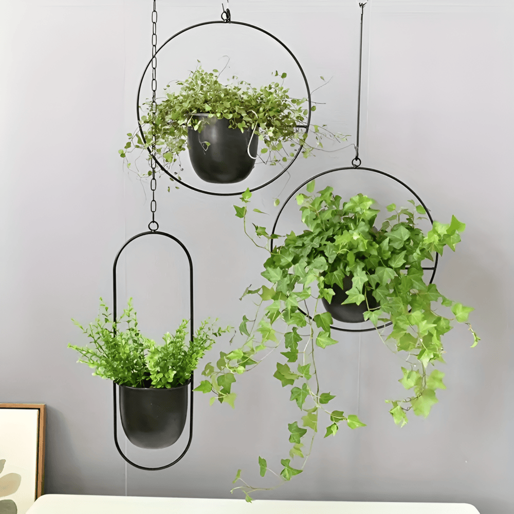 Stilvoller Minimalistischer Hängeblumentopf für moderne Wohnkultur