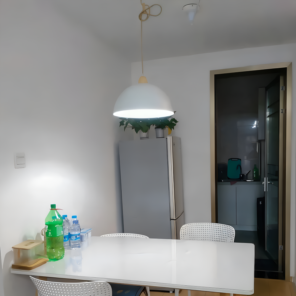 ModerLite Pendelleuchte - Verstellbare Eisen Kuppel Hängelampe