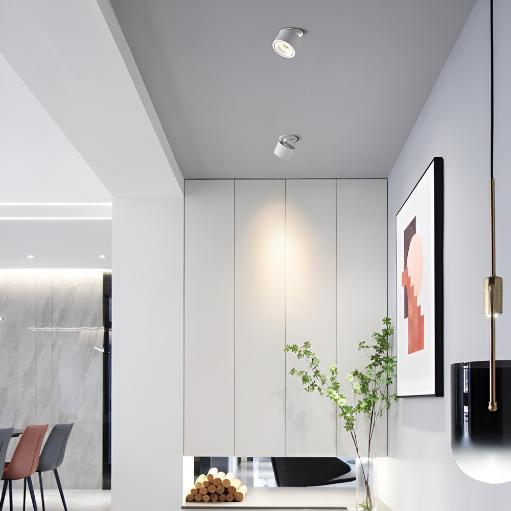 Moderne Zylindrische LED Downlight  - Deckenleuchte mit Einstellbarer Helligkeit