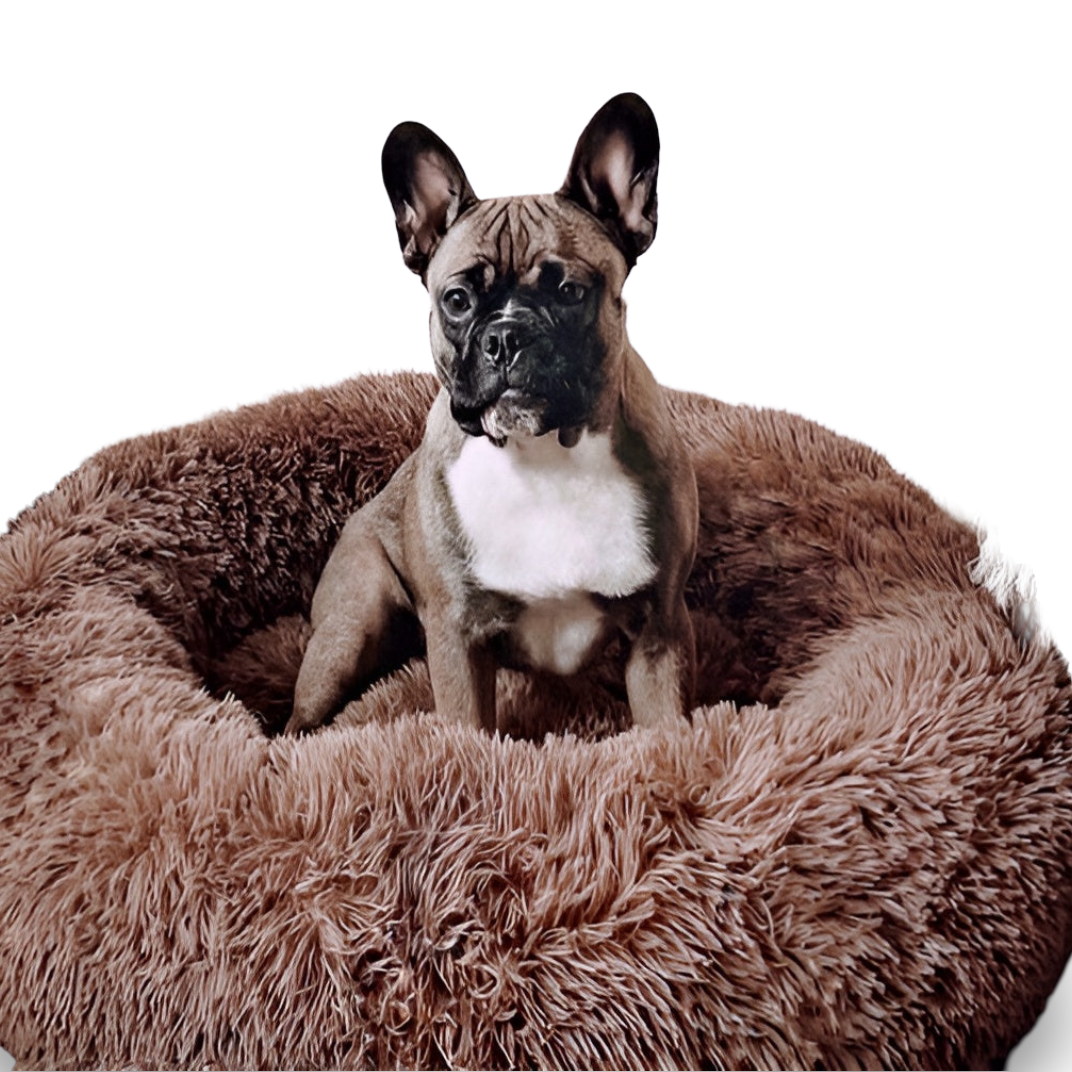 Paws Bed - Ultra Weiches und Bequemes Donut Cuddler Hundebett für Ihren Pelzigen Freund