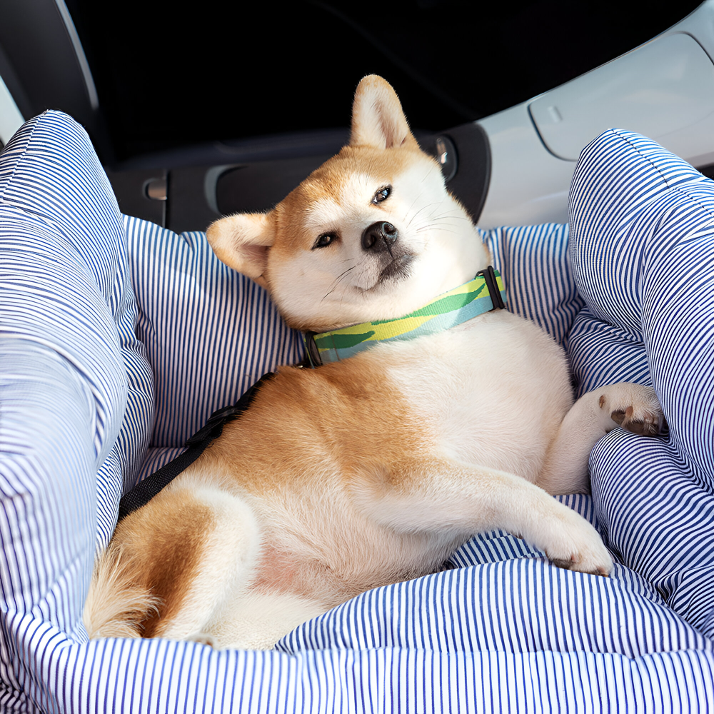 Portabler Hundesitz für das Auto - Autositz für Hunde - Premium Haustier Reisebett