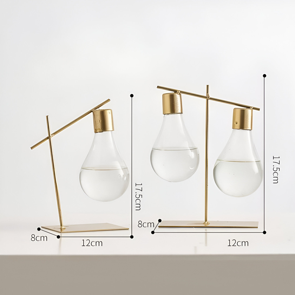 Stilvolle Vermehrungsvase für Zuhause und Büro | Elegantes Design für das Wachstum von Einzel- und Doppelpflanzen